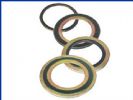 Exhaust Manifold Gasket